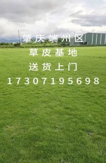 ļƺ