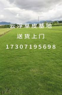 ļƺ