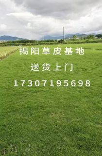 ļƺ