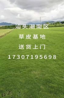 ĽƤ