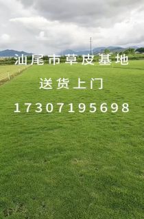 ļƺ