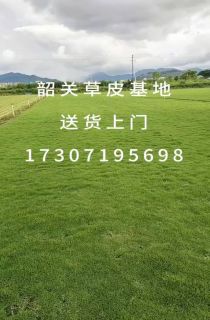 Ƥ