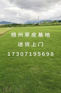 ļƺ