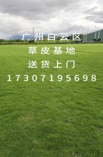 ļƺ