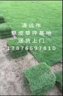 Ƥ