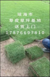 ��������Ƥ