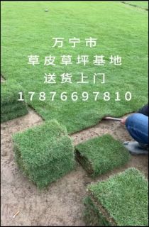 ��������Ƥ