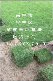 ��������Ƥ