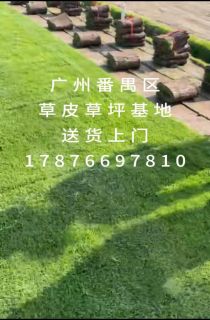 ��������Ƥ