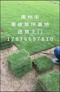 ��������Ƥ