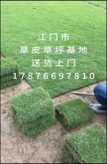 ��������Ƥ