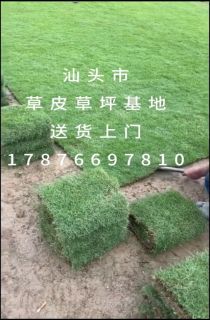 ��������Ƥ