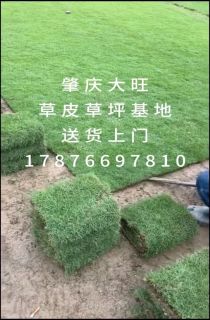 ��������Ƥ