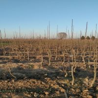 �ʹ�������