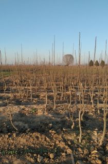 �ʹ�������