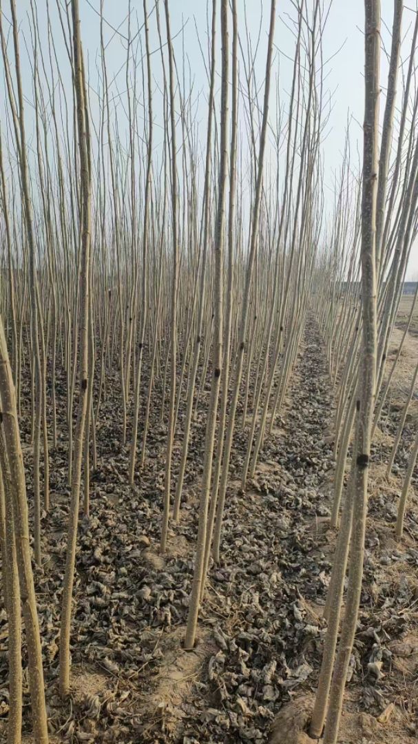 107������