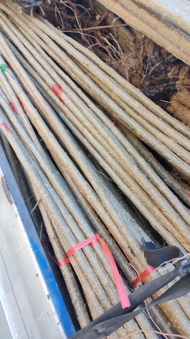 107������