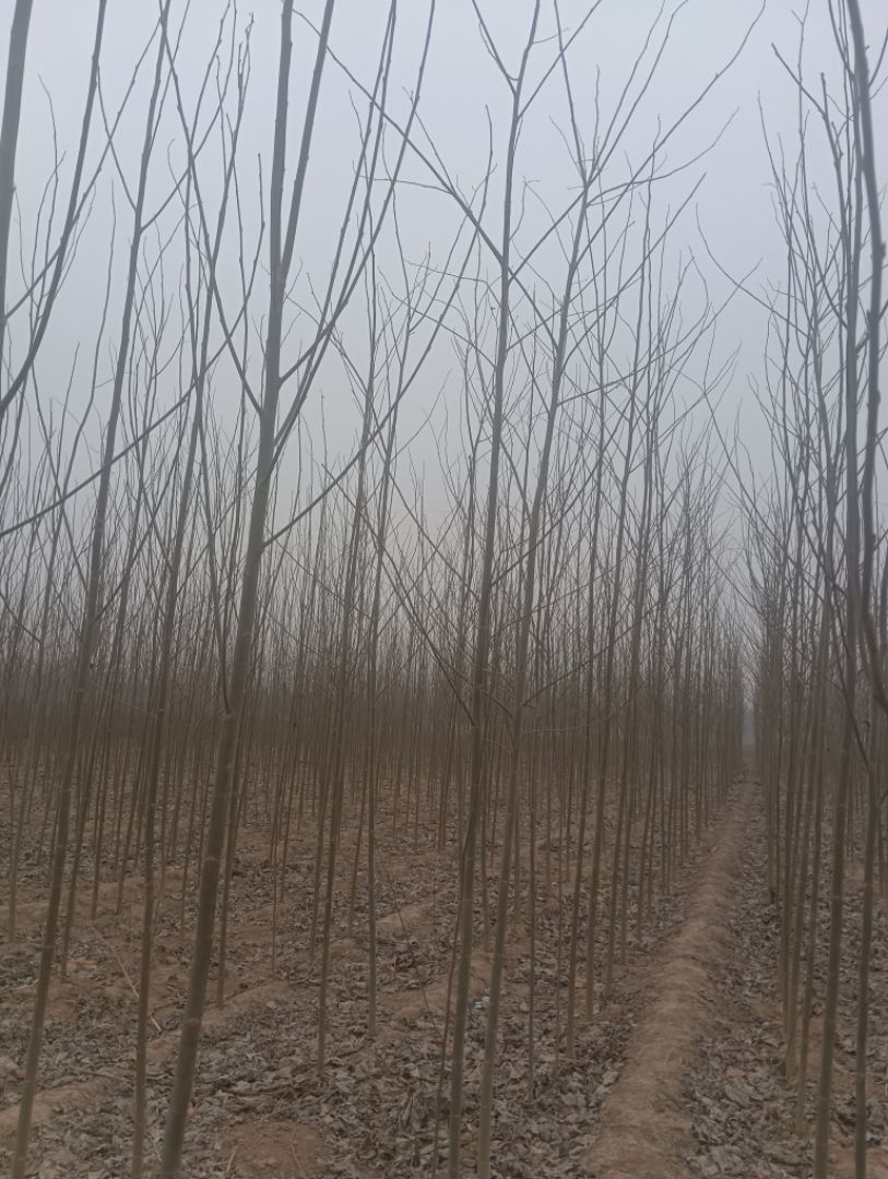 խ��ë����