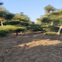 �ձ�����