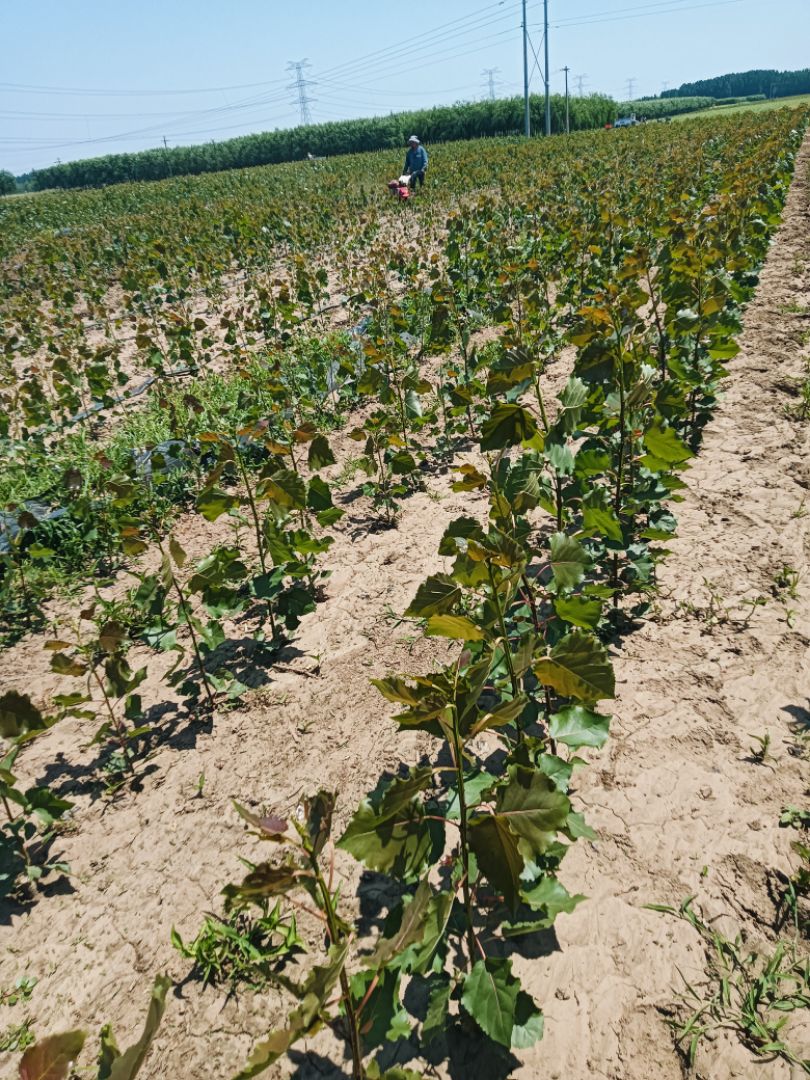 107������