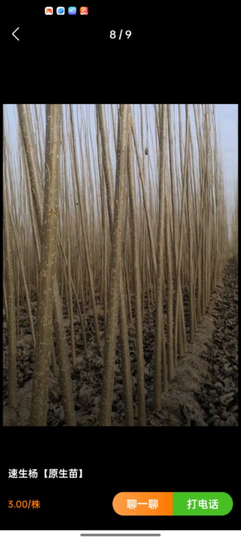 107������