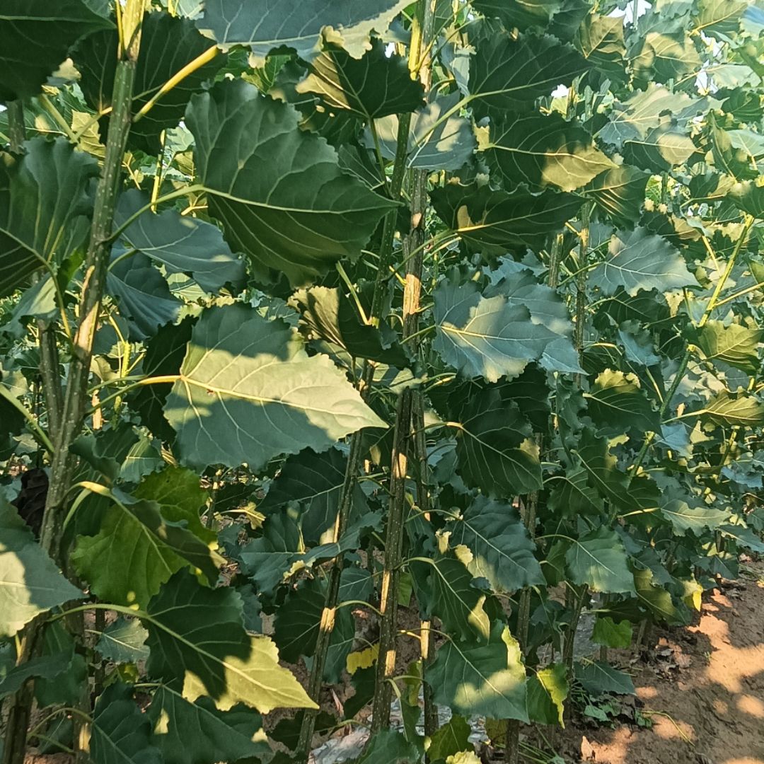 107������