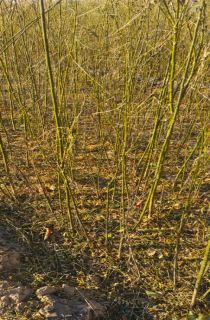 ��(gu��)��