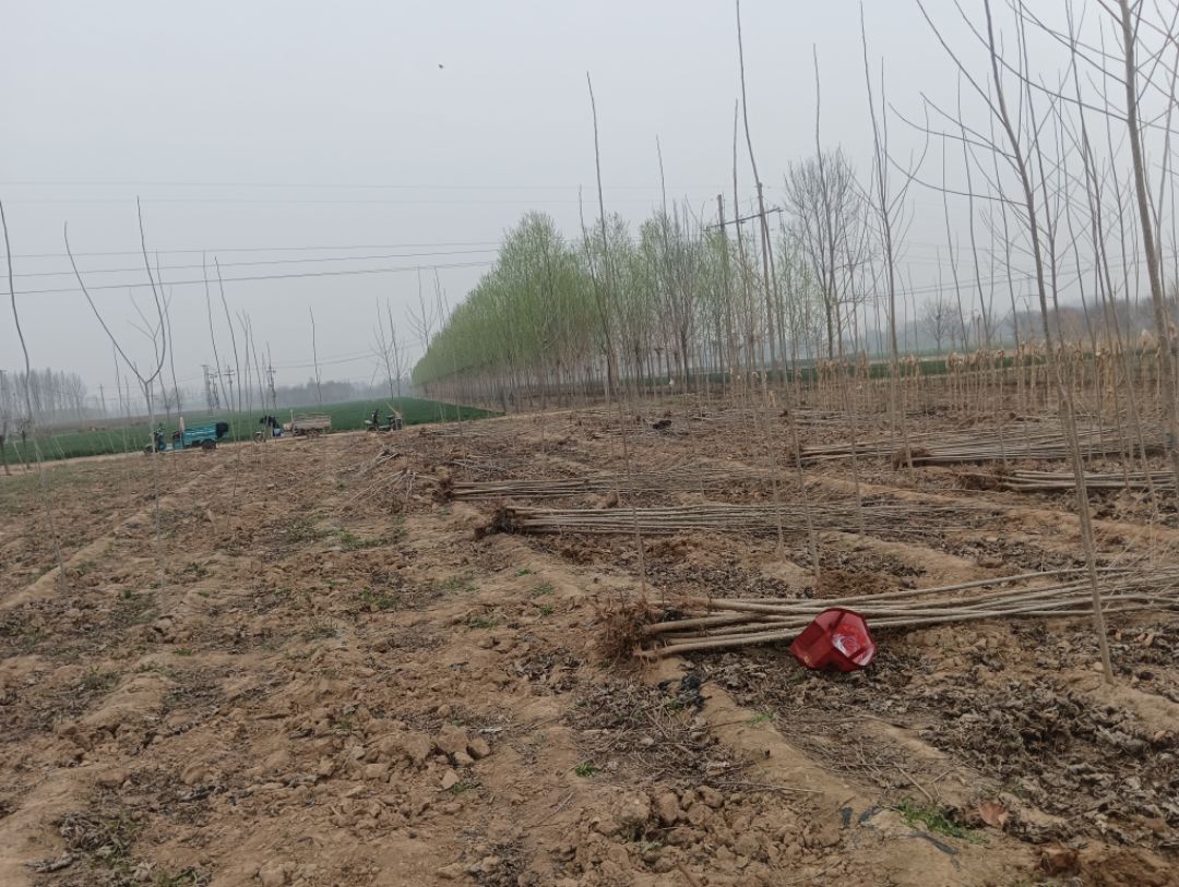 107������