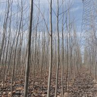 խ��ë����