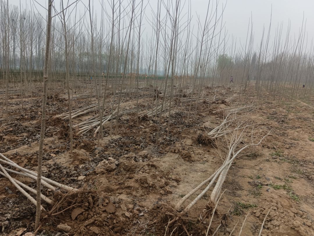 107������