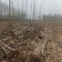 107������