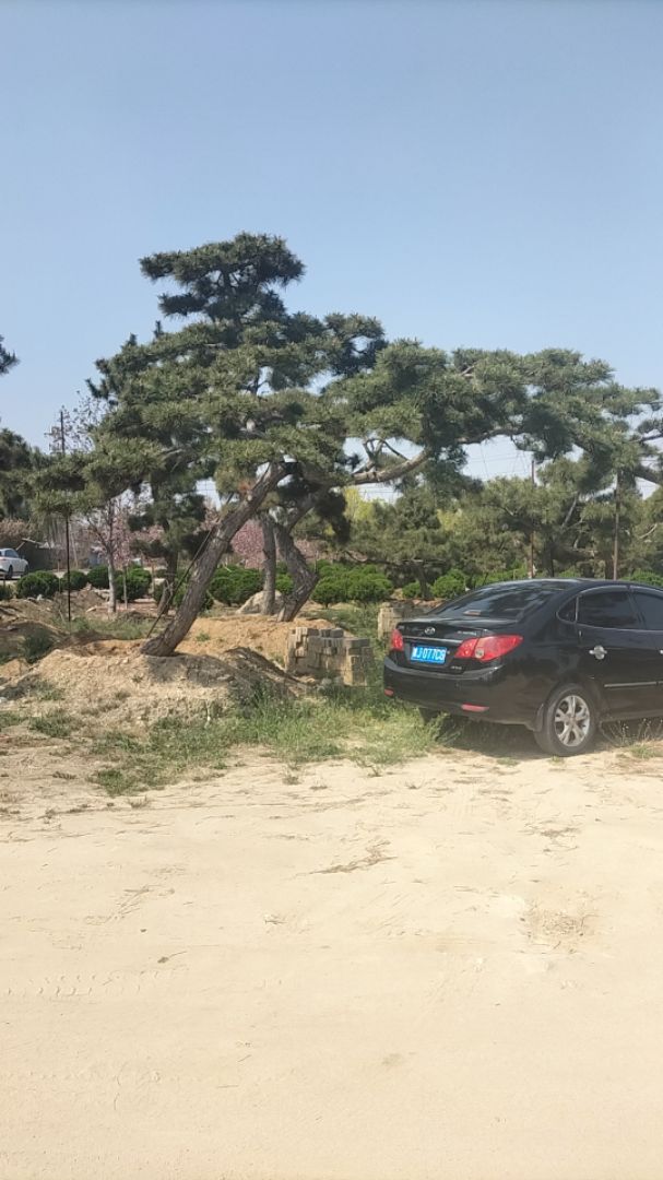 ���ͺ���