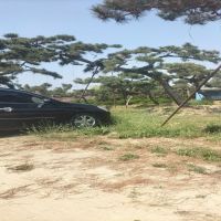 ���ͺ���