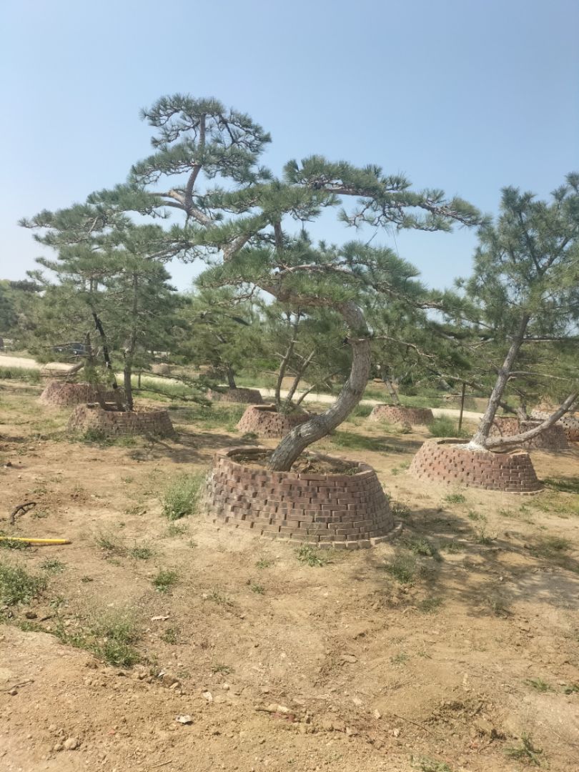 ���ͺ���