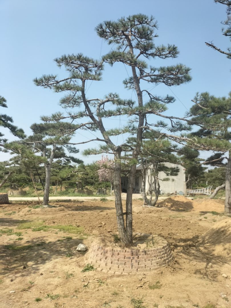 ���ͺ���