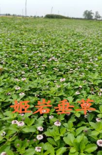 ���Ҵ���