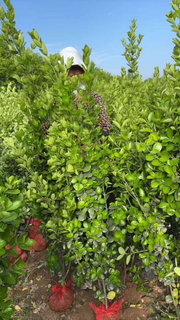 ����������