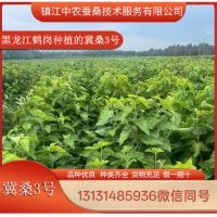 ��ɣ��������