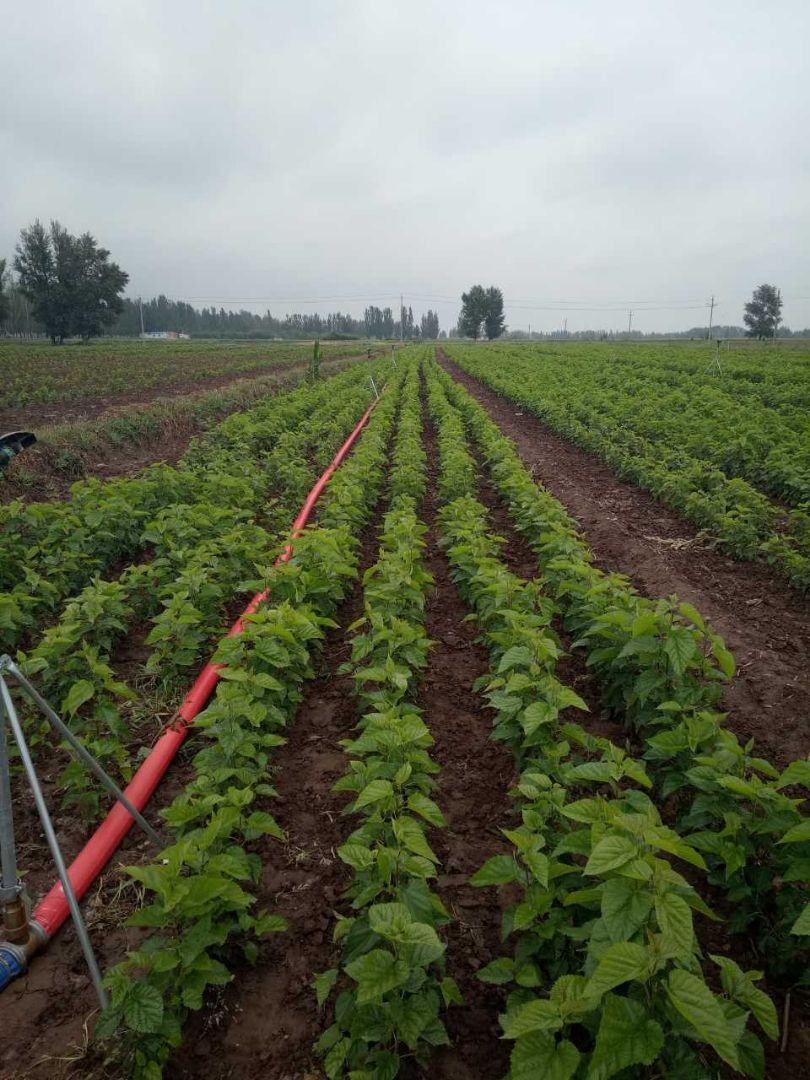 ��ɣ��������