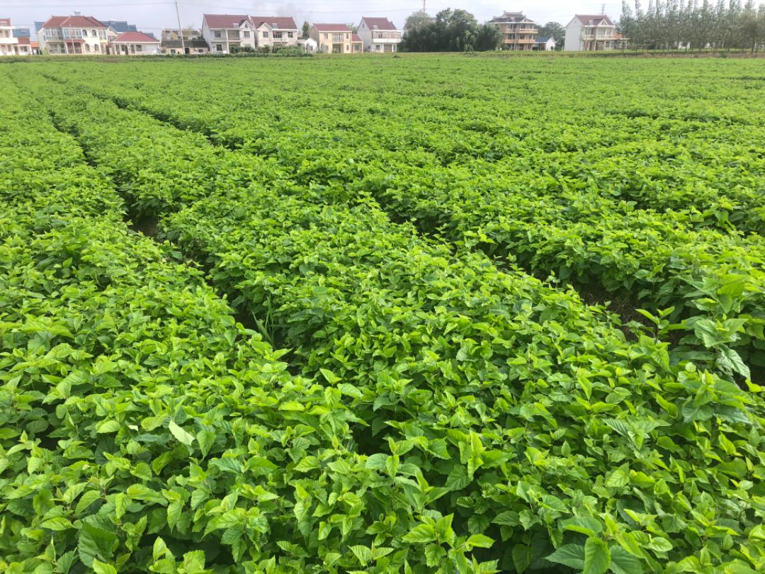 ��ɣ��������