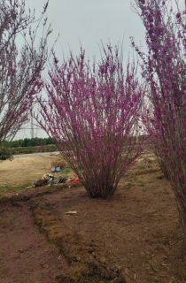 �����Ͼ�