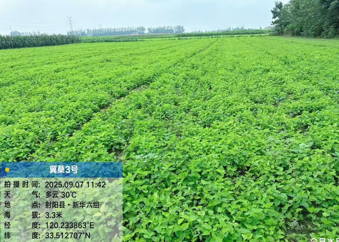 ��ɣ��������