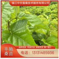 ����ɣ�������