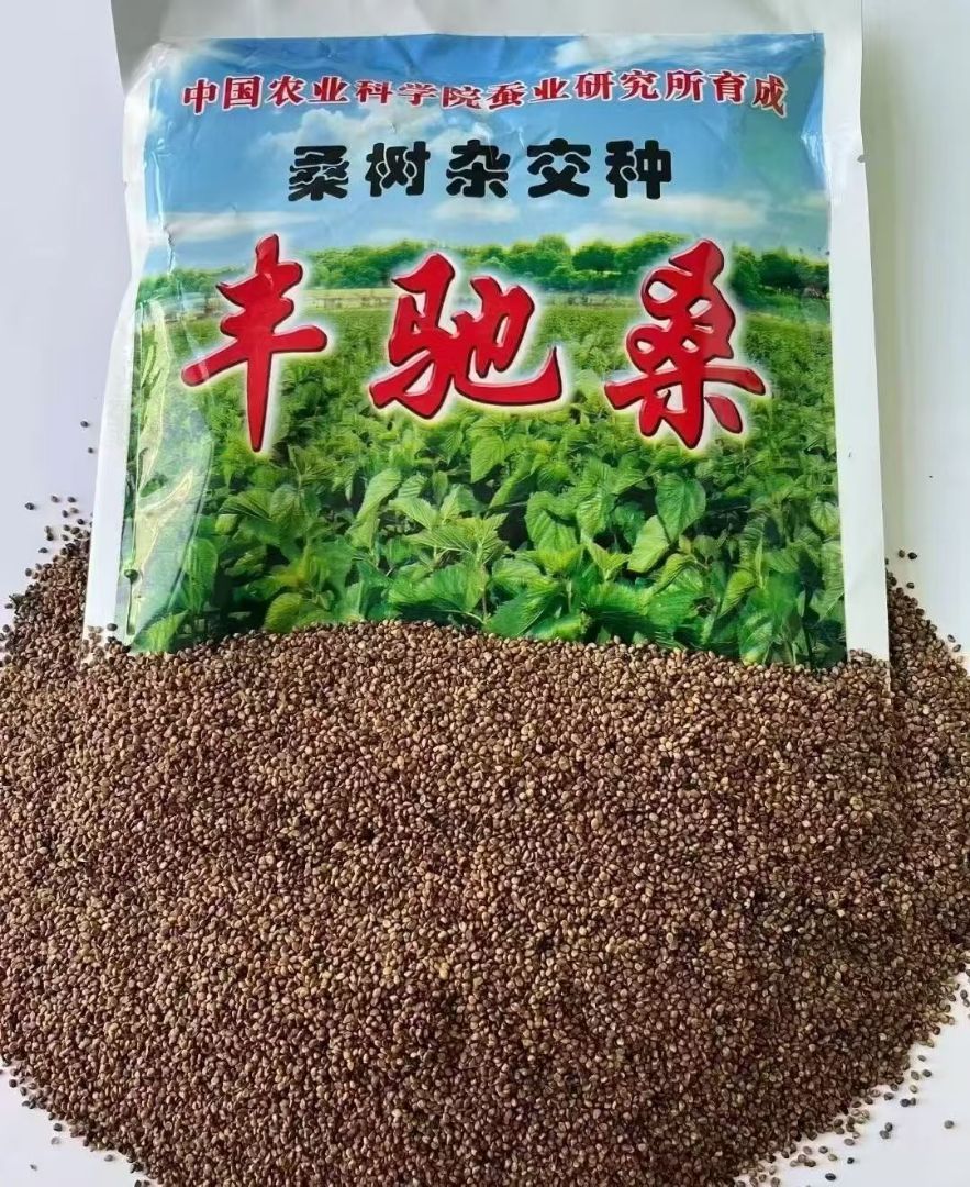 ���ɣ����