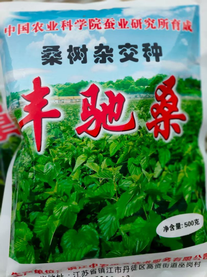 ���ɣ����