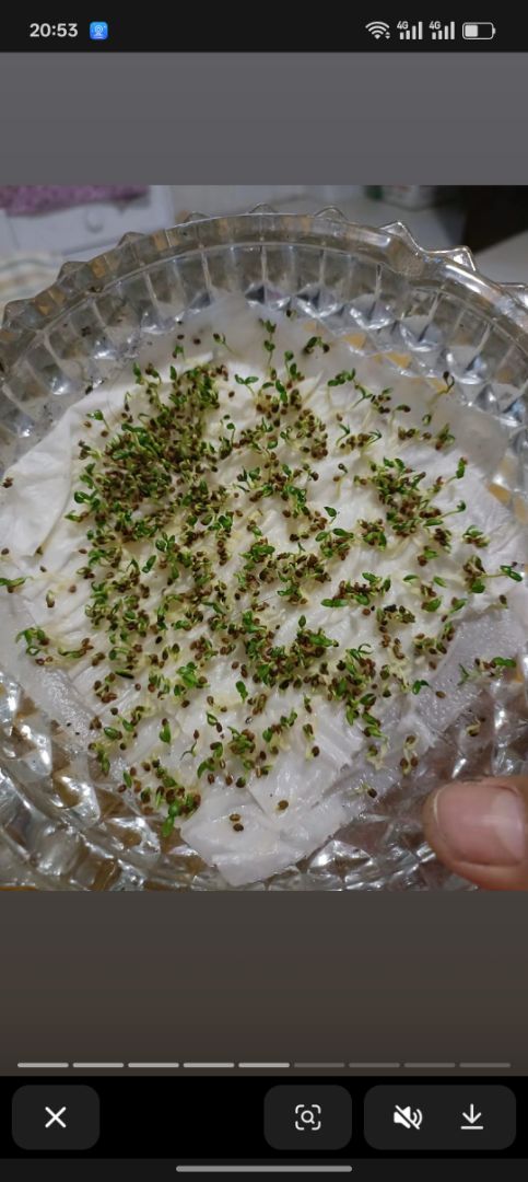 ��ɣ��������