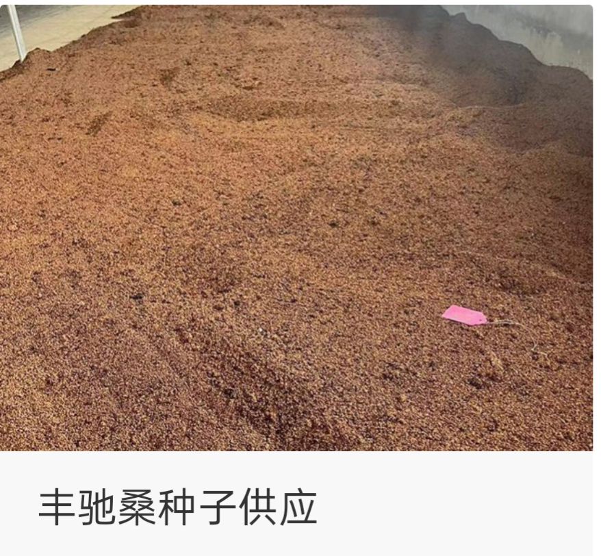 ���ɣ����