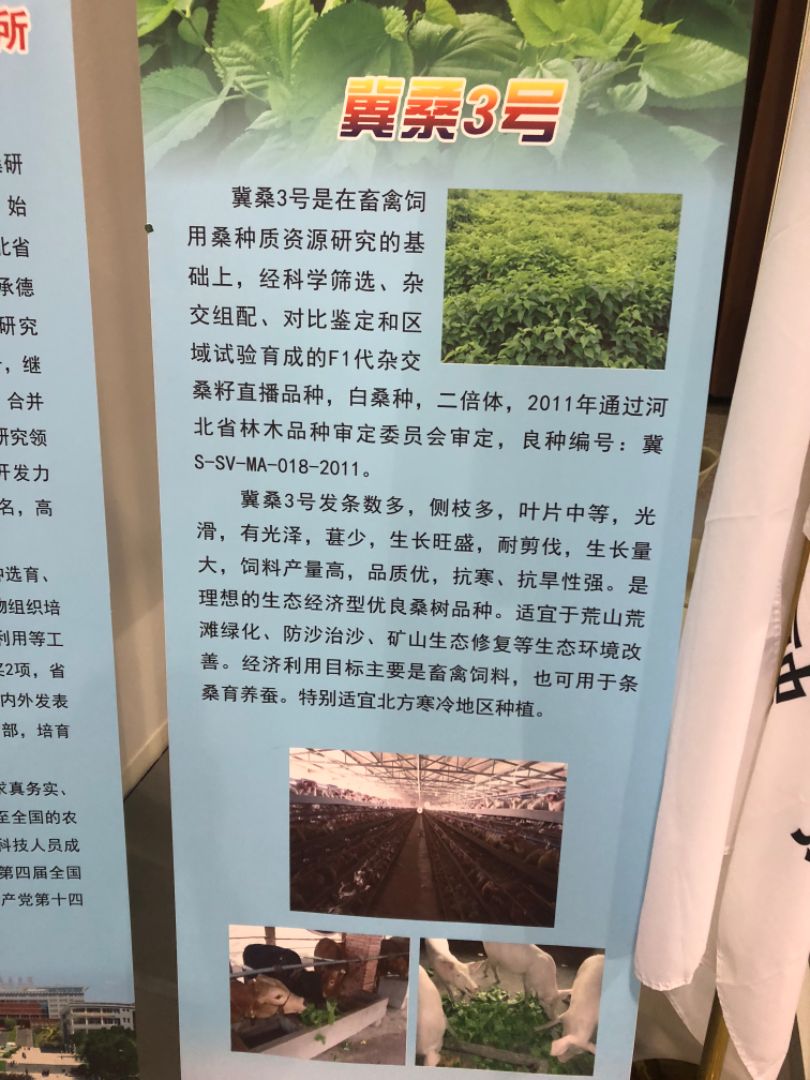 ��ɣ��������