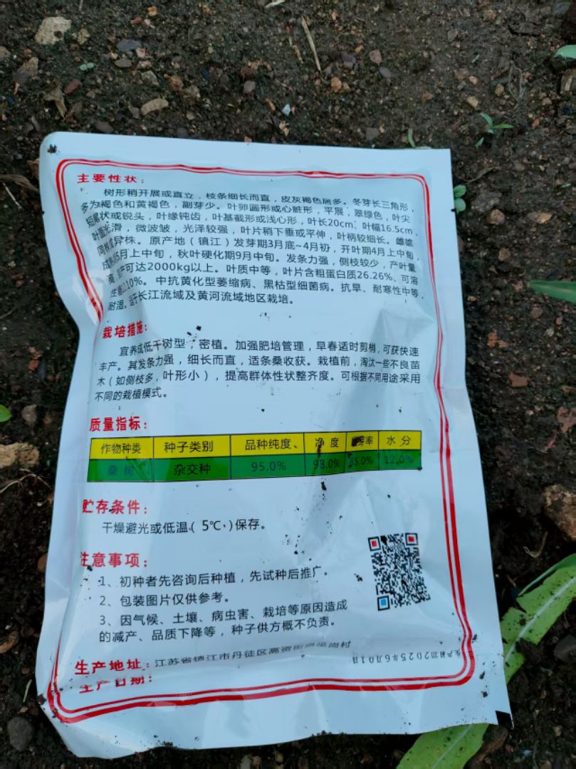 ���ɣ����