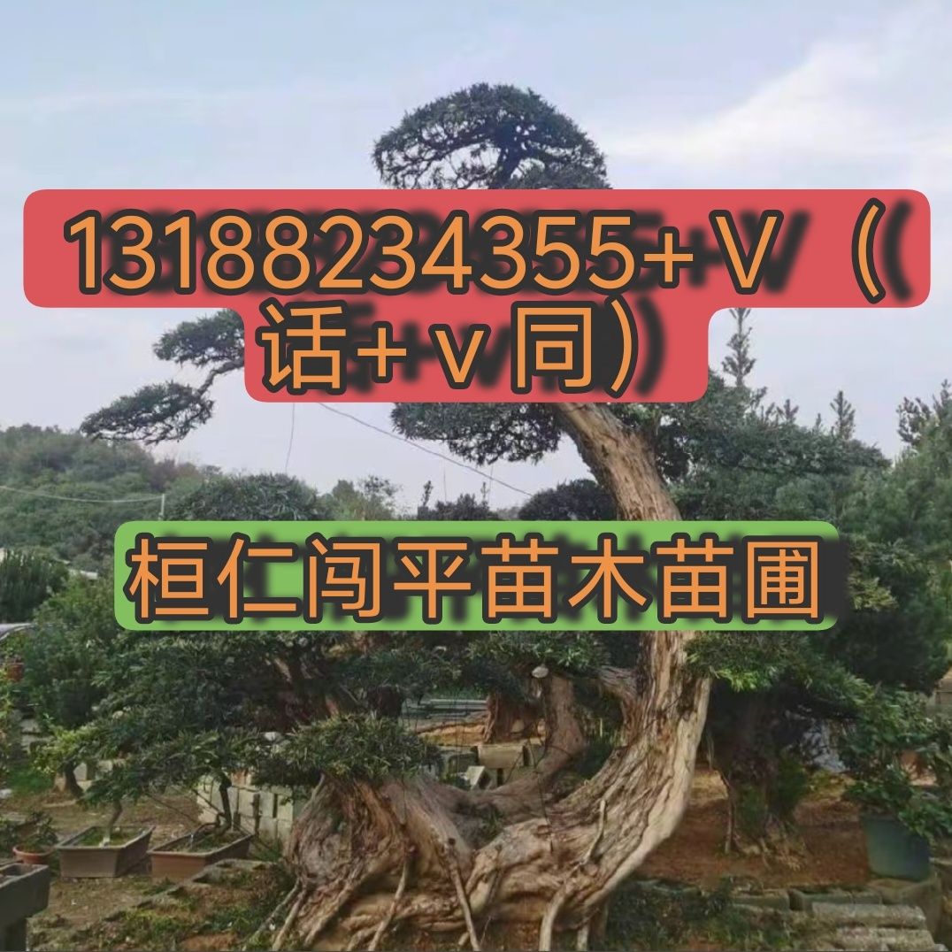 �ɶ���
